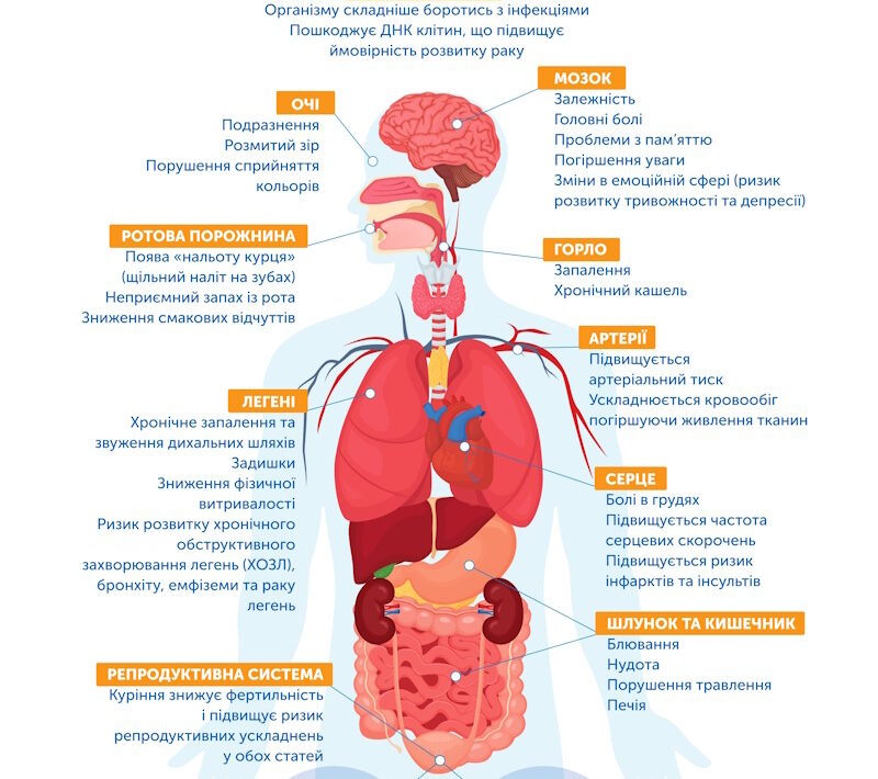 Що відбувається з організмом, коли ви курите