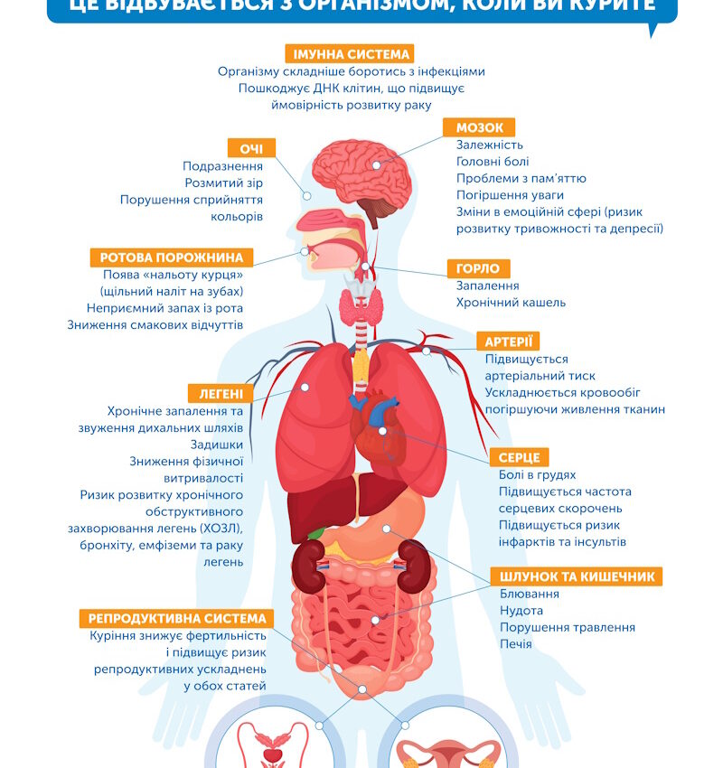 Що відбувається з організмом, коли ви курите